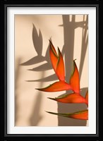 Seychelles, Mahe, Anse Royale, Heliconia flowers Fine Art Print