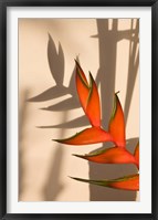 Seychelles, Mahe, Anse Royale, Heliconia flowers Fine Art Print