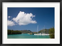 Seychelles, Praslin Island, Baie St. Anne bay Fine Art Print