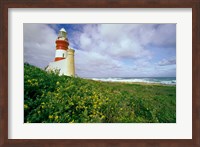 South Africa, Cape Agulhas Lighthouse Fine Art Print