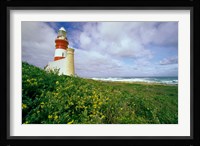 South Africa, Cape Agulhas Lighthouse Fine Art Print