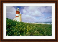 South Africa, Cape Agulhas Lighthouse Fine Art Print