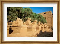 Sphinxes, Temple of Karnak, Temple of Luxor, Avenue of Sphinxes, Luxor, Egypt Fine Art Print