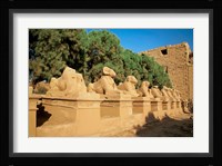 Sphinxes, Temple of Karnak, Temple of Luxor, Avenue of Sphinxes, Luxor, Egypt Fine Art Print