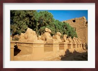 Sphinxes, Temple of Karnak, Temple of Luxor, Avenue of Sphinxes, Luxor, Egypt Fine Art Print