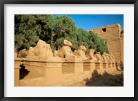 Sphinxes, Temple of Karnak, Temple of Luxor, Avenue of Sphinxes, Luxor, Egypt Fine Art Print