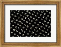 Traditional Chinese Characters, China Fine Art Print