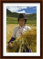 Tibetan Farmer Harvesting Barley, East Himalayas, Tibet, China Fine Art Print