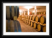 Stellenbosch, South Africa, Stellenbosch winery Fine Art Print