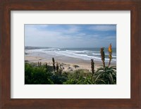 Stretches of Beach, Jeffrey's Bay, South Africa Fine Art Print
