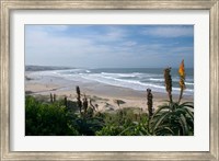 Stretches of Beach, Jeffrey's Bay, South Africa Fine Art Print