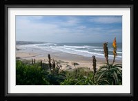 Stretches of Beach, Jeffrey's Bay, South Africa Fine Art Print