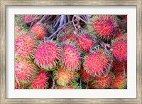 Tanzania, Zanzibar, StoneTown, Darajani Market, litchi Fine Art Print