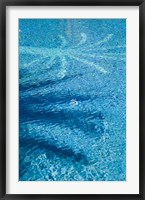 Swimming Pool with Palm Art, Faux Kasbah Hotel, Morocco Fine Art Print