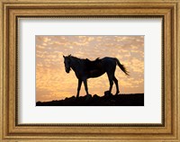 Sunrise and Silhouette of Horse and rider on the Giza Plateau, Cairo, Egypt Fine Art Print