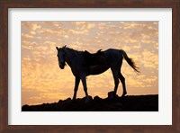 Sunrise and Silhouette of Horse and rider on the Giza Plateau, Cairo, Egypt Fine Art Print