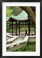 Tai Chi Chuan in the Chinese Garden Pavilion at Kowloon Park, Hong Kong, China Fine Art Print