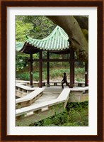 Tai Chi Chuan in the Chinese Garden Pavilion at Kowloon Park, Hong Kong, China Fine Art Print