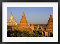 Temples of Bagan Surrounded by Trees, Bagan, Myanmar Fine Art Print