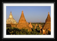 Temples of Bagan Surrounded by Trees, Bagan, Myanmar Fine Art Print