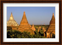 Temples of Bagan Surrounded by Trees, Bagan, Myanmar Fine Art Print