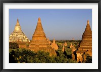 Temples of Bagan Surrounded by Trees, Bagan, Myanmar Fine Art Print