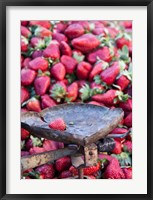 Strawberries for sale in Fes medina, Morocco Fine Art Print