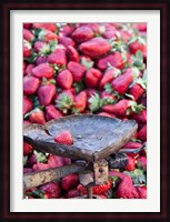 Strawberries for sale in Fes medina, Morocco Fine Art Print