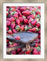 Strawberries for sale in Fes medina, Morocco Fine Art Print