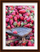 Strawberries for sale in Fes medina, Morocco Fine Art Print