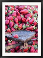 Strawberries for sale in Fes medina, Morocco Fine Art Print