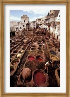 Tannery Vats in the Medina, Fes, Morocco Fine Art Print