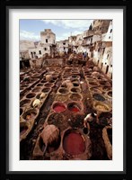 Tannery Vats in the Medina, Fes, Morocco Fine Art Print
