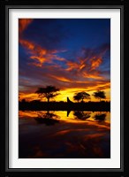 Sunrise, Okaukuejo Rest Camp, Etosha National Park, Namibia Fine Art Print