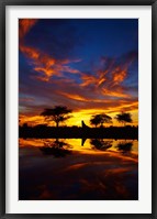 Sunrise, Okaukuejo Rest Camp, Etosha National Park, Namibia Fine Art Print