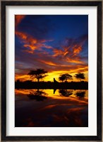 Sunrise, Okaukuejo Rest Camp, Etosha National Park, Namibia Fine Art Print