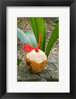 Tropical cocktail drink on Fregate Island, Seychelles Fine Art Print