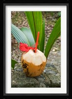 Tropical cocktail drink on Fregate Island, Seychelles Fine Art Print