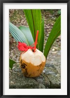 Tropical cocktail drink on Fregate Island, Seychelles Fine Art Print