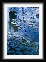 Villa Pond, Jardin Majorelle and Museum of Islamic Art, Marrakech, Morocco Fine Art Print