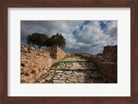 Tunisia, Carthage, Roman Villas, Ancient Architecture Fine Art Print
