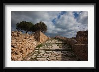 Tunisia, Carthage, Roman Villas, Ancient Architecture Fine Art Print