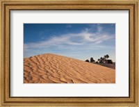 Great Dune, Tunisia Fine Art Print