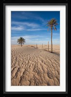 Great Dune and Palm Trees, Tunisia Fine Art Print