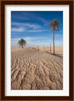 Great Dune and Palm Trees, Tunisia Fine Art Print