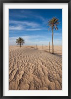Great Dune and Palm Trees, Tunisia Fine Art Print