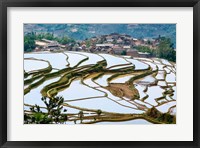 Village Beside Flooded Jiayin Terraces, Honghe County, Yunnan, China Fine Art Print