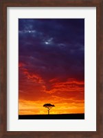 Masai Mara Game Reserve, Kenya Fine Art Print
