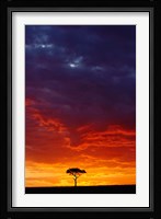 Masai Mara Game Reserve, Kenya Fine Art Print