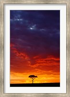 Masai Mara Game Reserve, Kenya Fine Art Print